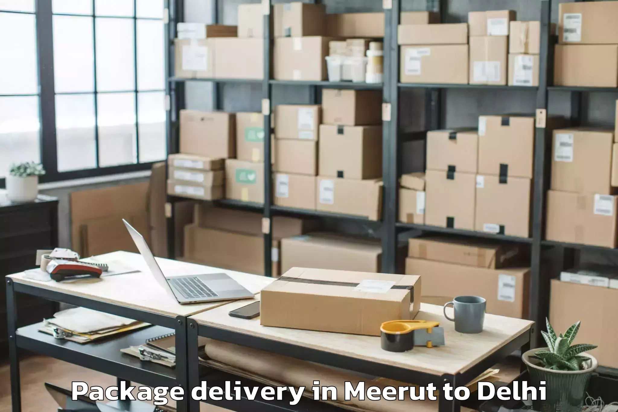 Trusted Meerut to Ambience Mall Rohini Package Delivery